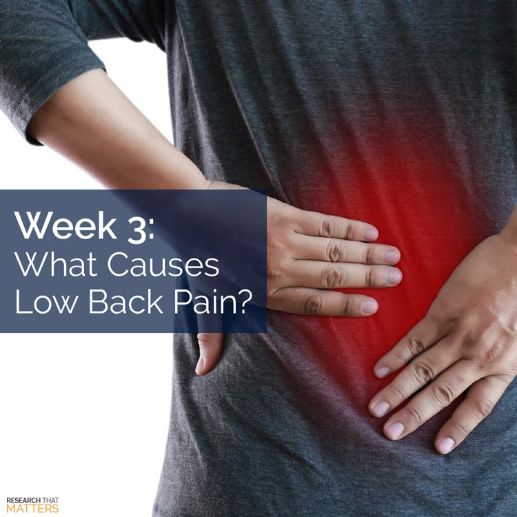 Chiropractic Parker CO Low Back Pain Causes