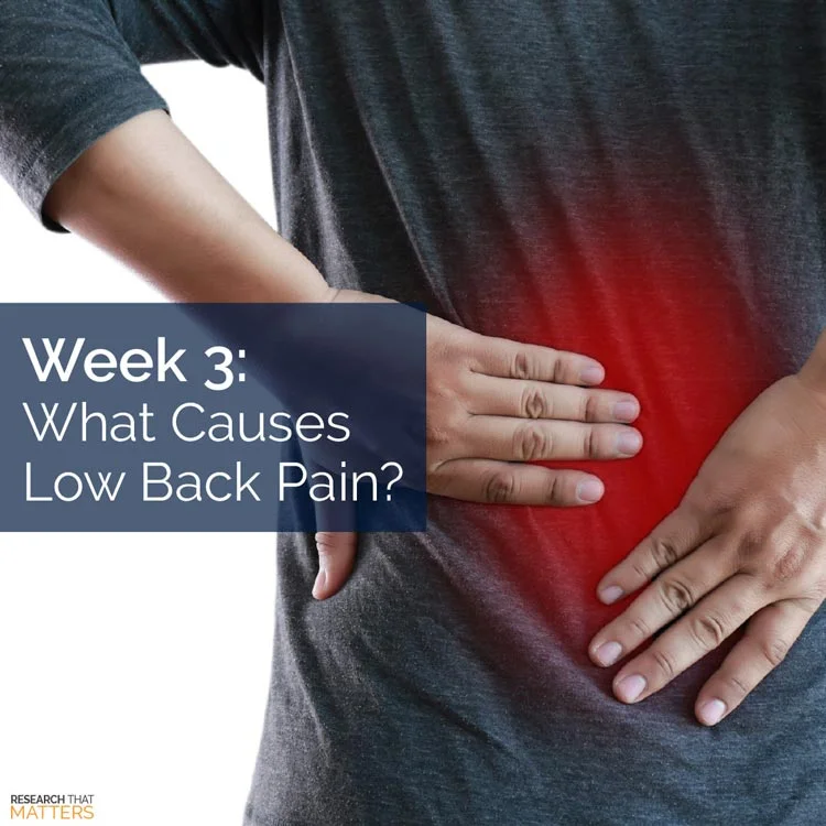 What Causes Low Back Pain? What Causes Low Back Pain?