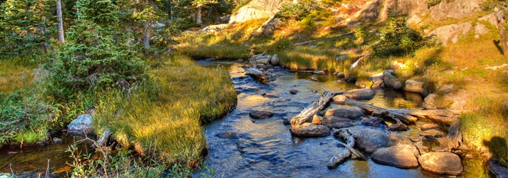Naturally Chiropractic in Parker CO