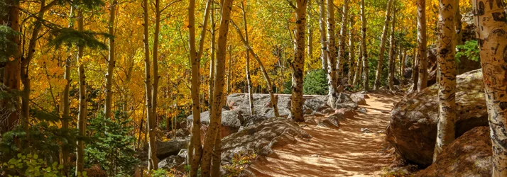 Naturally Chiropractic in Stonegate CO