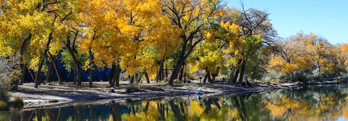 Naturally Chiropractic in The Pinery CO